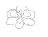 Magnolia flower logo